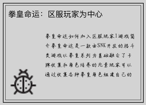 拳皇命运：区服玩家为中心